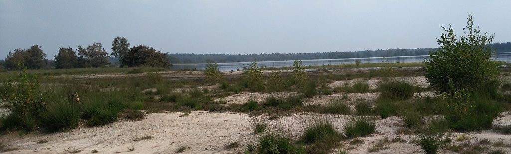 De pan